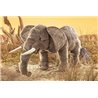 Títere. ELEFANTE
