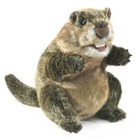 Títere. MARMOTA