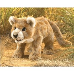 Títere. CACHORRO DE LEÓN AFRICANO