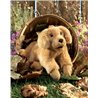 Títere. PERRITO GOLDEN RETRIEVER