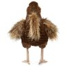 Títere. GALLINA