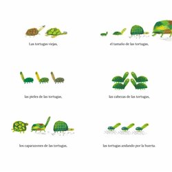 Libro. TORTUGA