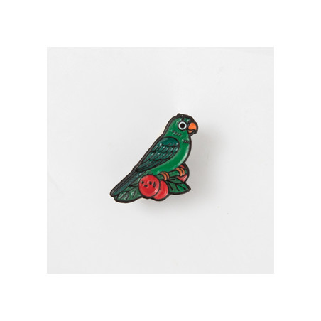 Pin. LORITO