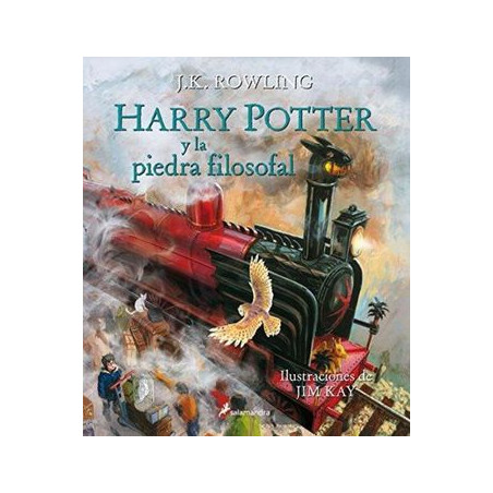 Libro. HARRY POTTER Y LA PIEDRA FILOSOFAL-ILUSTRADO