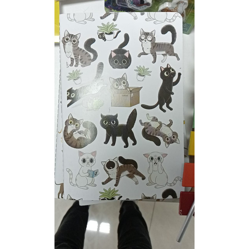 Libreta surtida. RAEIOUL