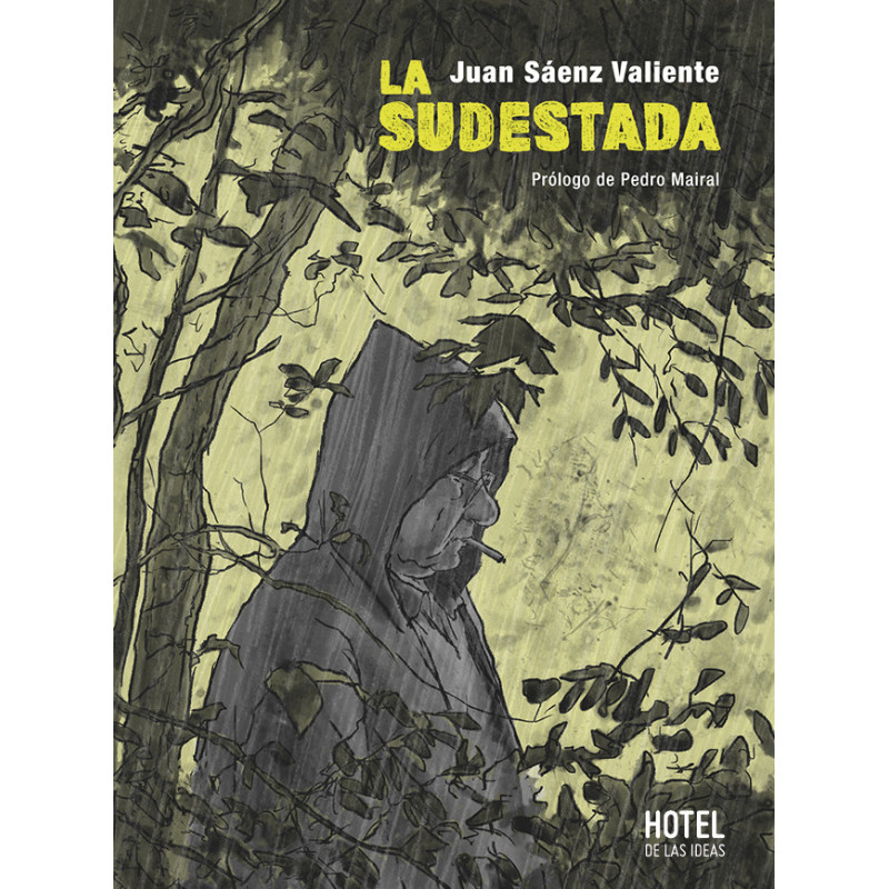 Libro cómic. La sudestada