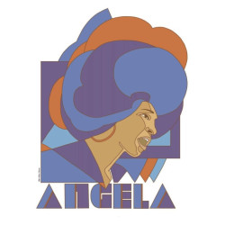 Libro. MISS DAVIS - LA VIDA Y LAS LUCHAS DE ANGELA DAVIS