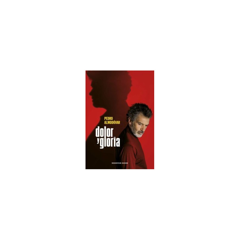 Libro. DOLOR Y GLORIA. Pedro Almodóvar