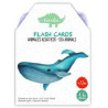 FLASH CARDS. Animales Acuáticos/Sea Animals