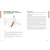 LIBRO. ANATOMÍA DE LOS ESTIRAMIENTOS