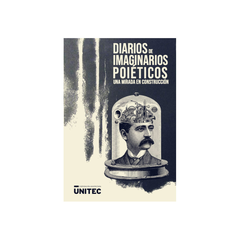 Libro. DIARIOS DE IMAGINARIOS POIÉTICOS