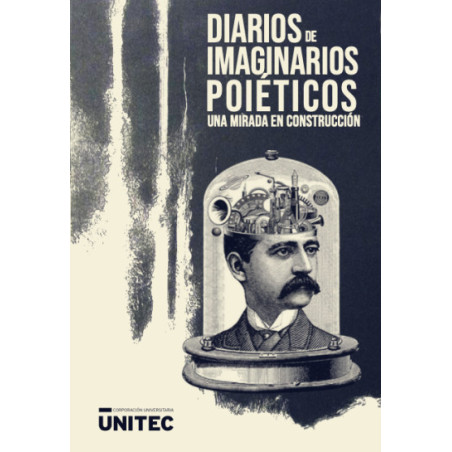 Libro. DIARIOS DE IMAGINARIOS POIÉTICOS