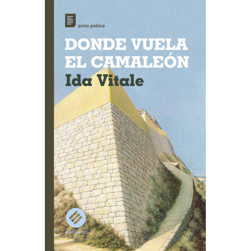 Libro. DONDE VUELA EL CAMALEÓN