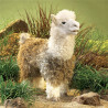 Títere. ALPACA
