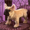 Títere. PERRO BULLDOG FRANCES