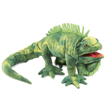 Titere. IGUANA