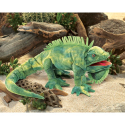Titere. IGUANA