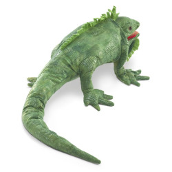 Titere. IGUANA