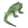 Titere. IGUANA