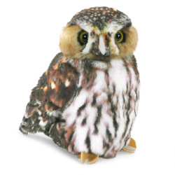 TITERE. Buho Pygmy