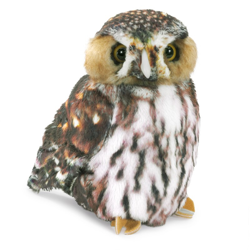 TITERE. Buho Pygmy