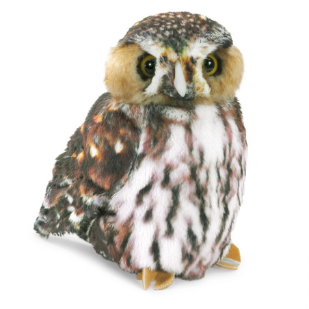 TITERE. Buho Pygmy