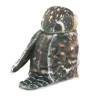 TITERE. Buho Pygmy