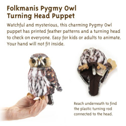 TITERE. Buho Pygmy
