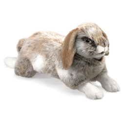 TITERE. Conejo Holland Lop