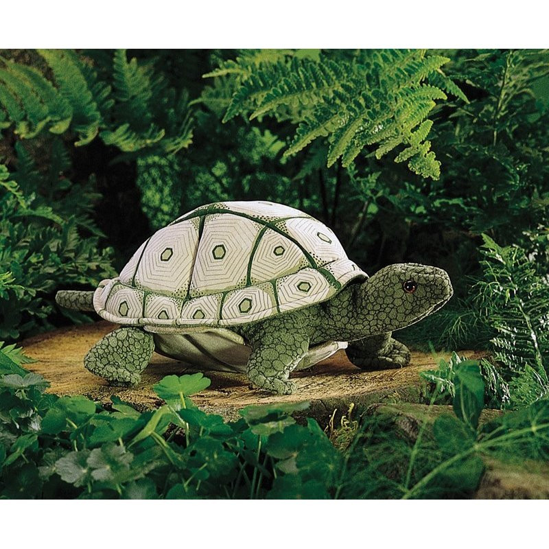TÍTERE. TORTUGA