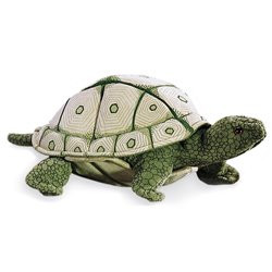 TÍTERE. TORTUGA