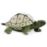 TÍTERE. TORTUGA