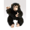 TÍTERE. CHIMPANCE BEBE
