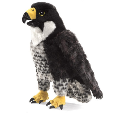 TÍTERE. HALCÓN PEREGRINO