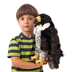 TÍTERE. HALCÓN PEREGRINO