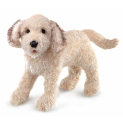 TÍTERE. PERRO LABRADOODLE