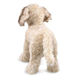 TÍTERE. PERRO LABRADOODLE