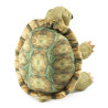 Títere. TORTUGA DE PIE