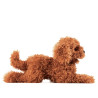 Títere. PERRITO CACHORRO POODLE