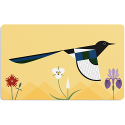 JUEGO DE CARTAS. CHARLEY HARPER’S. I AM WILD FLASH CARDS/ TARJETAS DIDÁCTICAS SOY SALVAJE