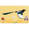 JUEGO DE CARTAS. CHARLEY HARPER’S. I AM WILD FLASH CARDS/ TARJETAS DIDÁCTICAS SOY SALVAJE