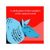 Juego de tarjetas. ANIMAL POWER DECK. 75 Animals to Awaken Your Personal Magic