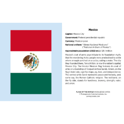 Juego de tarjetas de infografía. Flags of the World Knowledge Cards