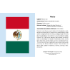Juego de tarjetas de infografía. Flags of the World Knowledge Cards