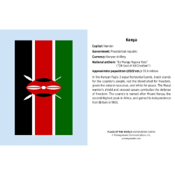 Juego de tarjetas de infografía. Flags of the World Knowledge Cards