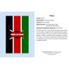 Juego de tarjetas de infografía. Flags of the World Knowledge Cards