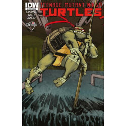 Cómic. TEENAGE MUTANT NINJA TURTLES 1B