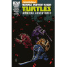 Cómic. TEENAGE MUTANT NINJA TURTLES AMAZING ADVENTURES 1B