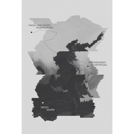 Libro. HACIA UNA DANZA POSTHUMANA