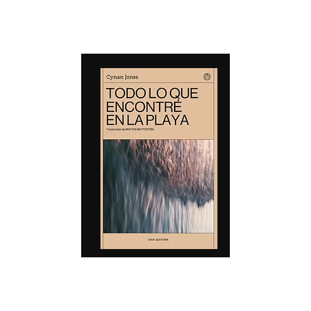 Libro. TODO LO QUE ENCONTRÉ EN LA PLAYA